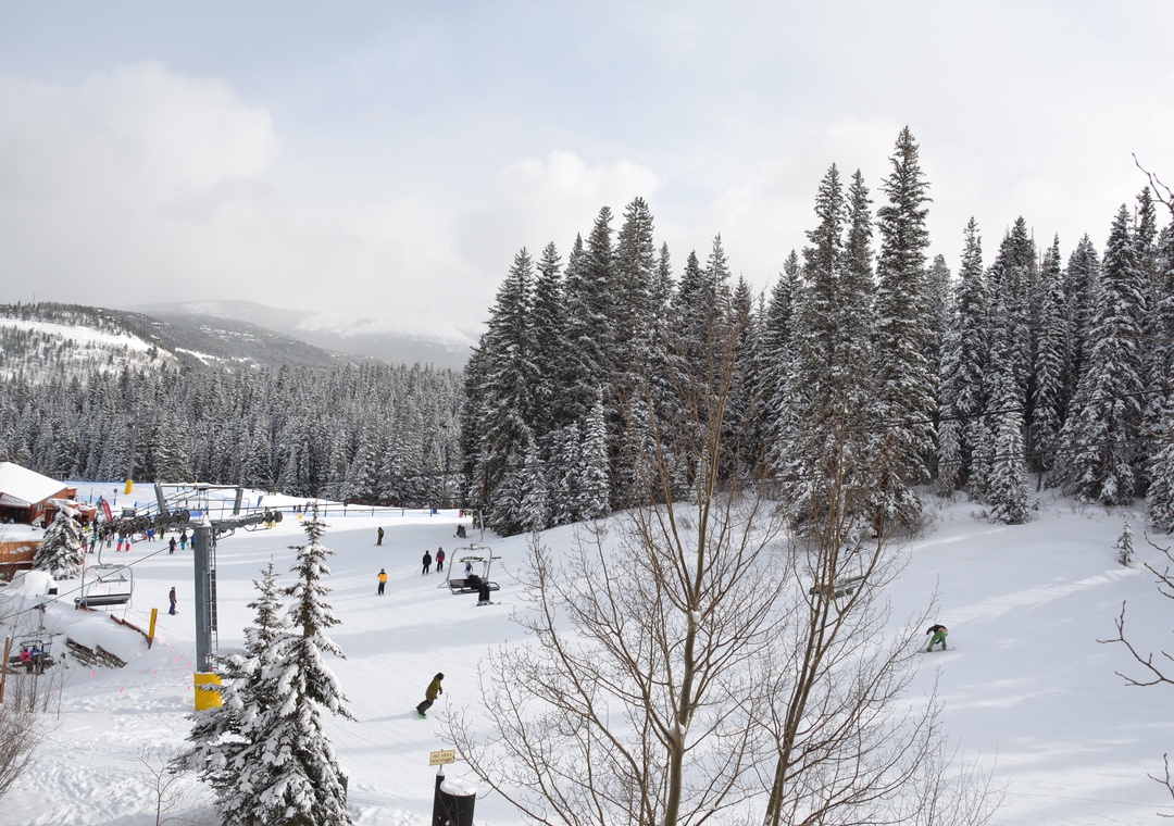 Thing To Do Ski In/Ski Out